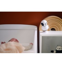 ECOUTE BEBE VIDEO SEE PRO
