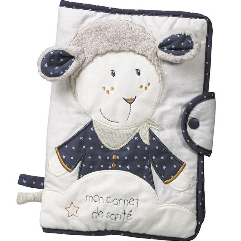 PROTEGE CARNET DE SANTE MERLIN