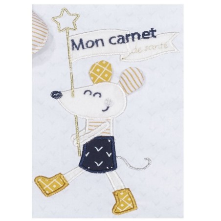 PROTEGE CARNET DE SANTE