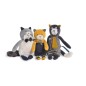PETIT CHAT MOUTARDE LULU LES MOUSTACHES