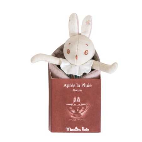 PETIT LAPIN MOUSSE APRES LA PLUIE
