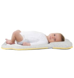 COSYMORPHO FRESH SMOKEY (REDUCTEUR UNIVERSEL)