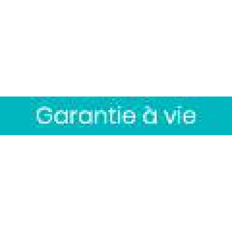 COUSSIN DE MATERNITE DOOMOO FLOWER ARGENT