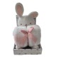COFFRET COUVERTURE+PELUCHE