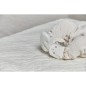 MON PREMIER COFFRET NAISSANCE CREME