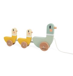 SWC - CANARDS A TIRER