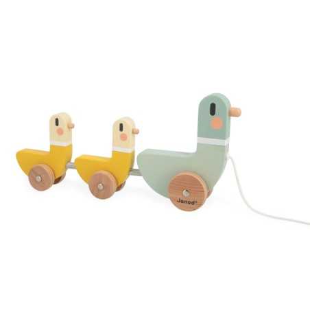 SWC - CANARDS A TIRER