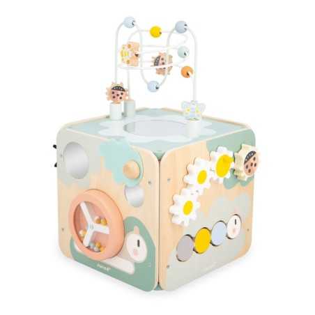 SWC - MAXI CUBE MULTI - ACTIVITES