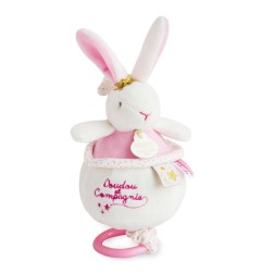 LAPIN FLEURS  - BOITE A MUSIQUE