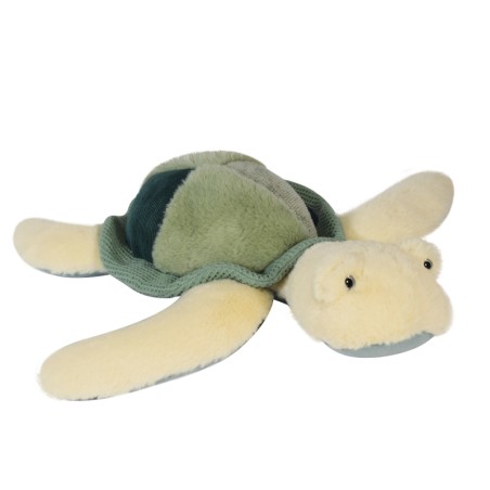 TORTUE DE MER