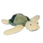 TORTUE DE MER