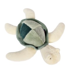 TORTUE DE MER