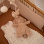 PELUCHE MUSICALE-LION