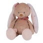 PELUCHEPAULINE LAPIN