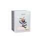 IGNACE ANE PELUCHE CALINE