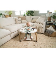 CENTRE DACTIVITES STATIONNAIRE 5 EN 1