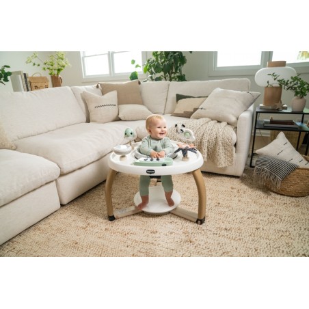 CENTRE DACTIVITES STATIONNAIRE 5 EN 1