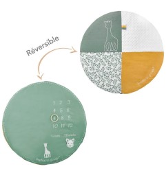 TAPIS D'EVEIL