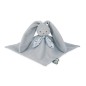 DOUDOU LAPIN BLEU
