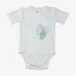 LOT 2 BODY MC - FEUILLE