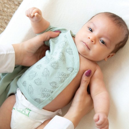 LOT 2 BODY MC - FEUILLE