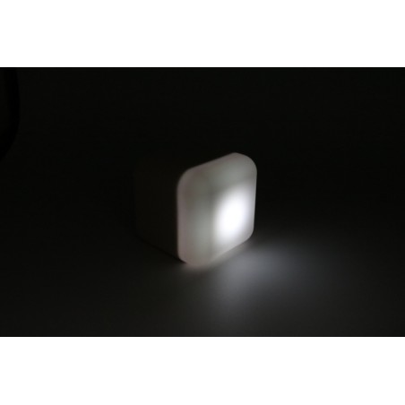 BEANIE BELLIES SMALL - MELLY LE KOALA