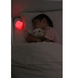 BEANIE BELLIES SMALL - MELLY LE KOALA