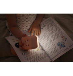 BEANIE BELLIES SMALL - MELLY LE KOALA