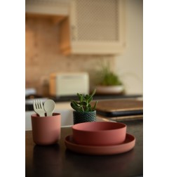 B-SET VAISSELLE BIODEGRADABLE CPLA 5PCS