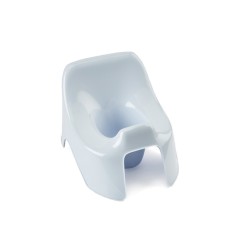 VASE PULMAN FLEUR BLEUE