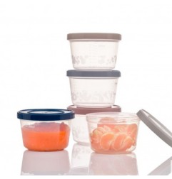 LOT DE 5 BOITES DE CONSERVATION DE 250 ML