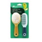 BROSSE ET PEIGNE