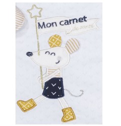 PROTEGE CARNET DE SANTE