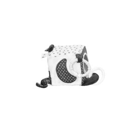 CUBE D ACTIVITES CHAO CHAO