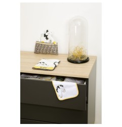 PROTEGE CARNET DE SANTE