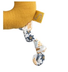 HOCHET PROMENONS NOUS