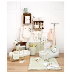 COUSSIN DECO POMME BOTANICA