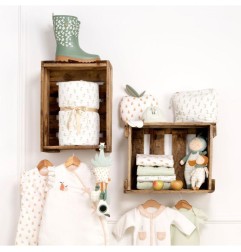 COUSSIN DECO POMME BOTANICA