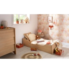 KIT DE TRANSFORMATION LBB