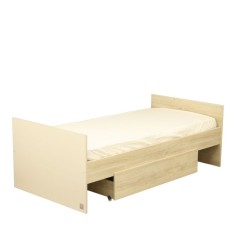 LIT BEBE TRANSFORMABLE