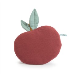 COUSSIN POMME APRES LA PLUIE