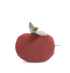 COUSSIN POMME APRES LA PLUIE