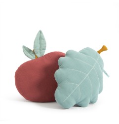 COUSSIN POMME APRES LA PLUIE