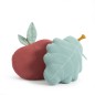COUSSIN POMME APRES LA PLUIE