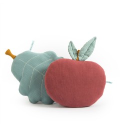 COUSSIN POMME APRES LA PLUIE