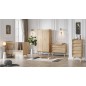 ARMOIRE 2-PORTES VINTAGE BOIS
