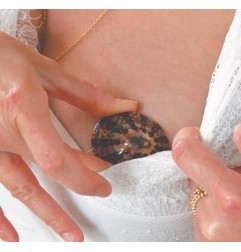 LOT DE 2 COQUILLAGES D’ALLAITEMENT - TAILLE S - DIAMETRE 5 CM