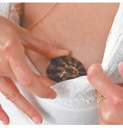 LOT DE 2 COQUILLAGES D’ALLAITEMENT - TAILLE M - DIAMETRE 6 CM