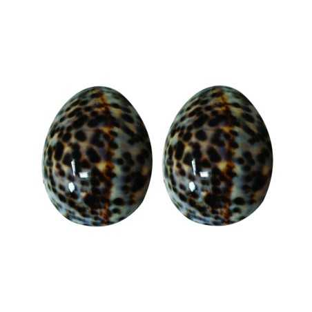 LOT DE 2 COQUILLAGES - TAILLE L