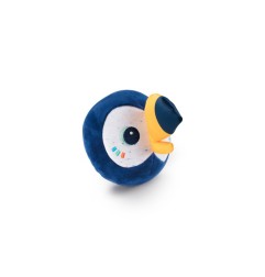 PABLO ROULEAU SONORE